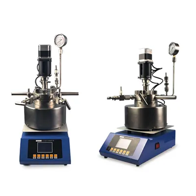 Mini High Pressure Reactor